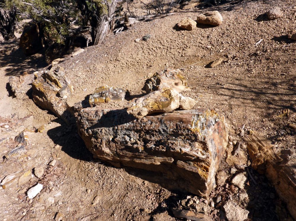 Escalante state park (8).JPG